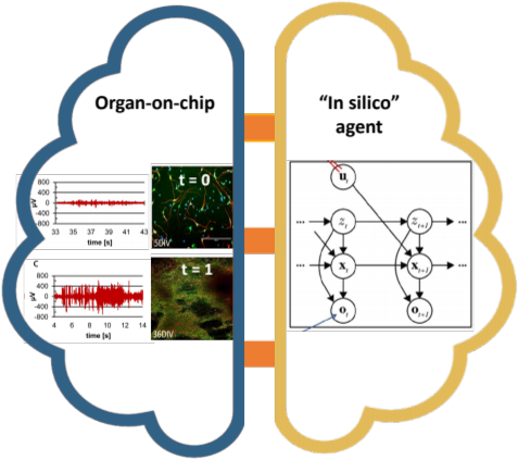 Artificial intelligence assisted microfluidics