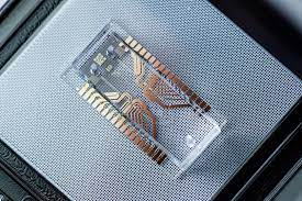 Digital microfluidics for regenerative medicine